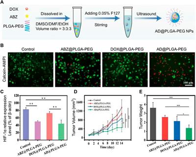 Engineered nanomaterials enhance drug delivery strategies for the treatment of osteosarcoma